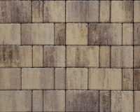 HMD Stone 23 OCT 2024 (257)