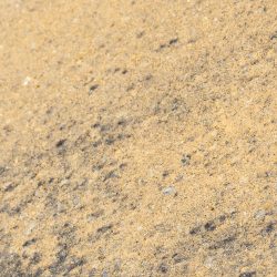 Ellegance SAHARA/NEGRU PATINAT