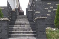 placa splitata (8)