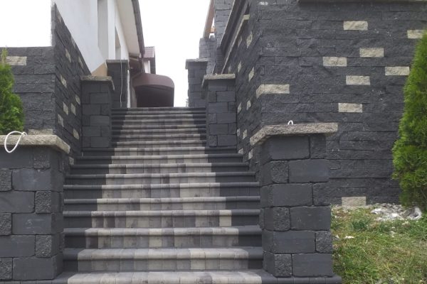 placa splitata (8)